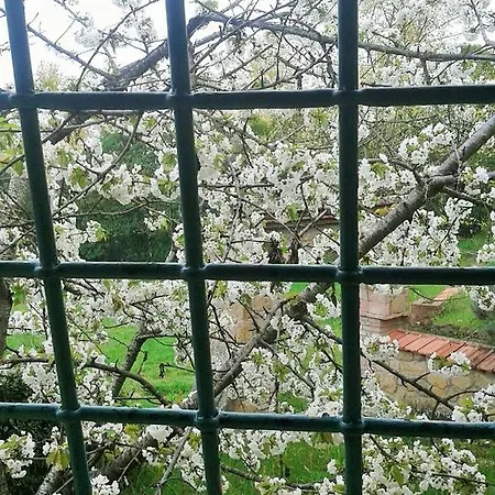 La Bella Nanina *