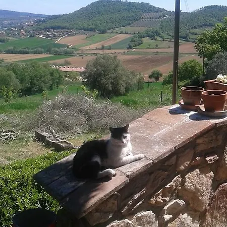 Bed & Breakfast La Bella Nanina