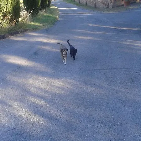 La Bella Nanina * Agello