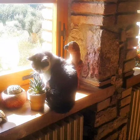 La Bella Nanina *