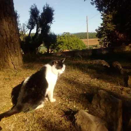 La Bella Nanina *
